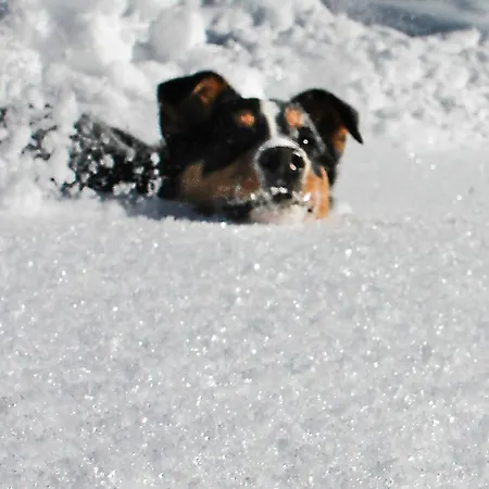 Urbanshof Herr Tobias Fehrenbach *