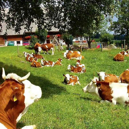 Urbanshof Herr Tobias Fehrenbach Lägenhet Hinterzarten