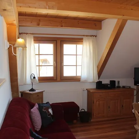 Urbanshof Apartment Hinterzarten